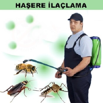 Karapürçek Böcek İlaçlama